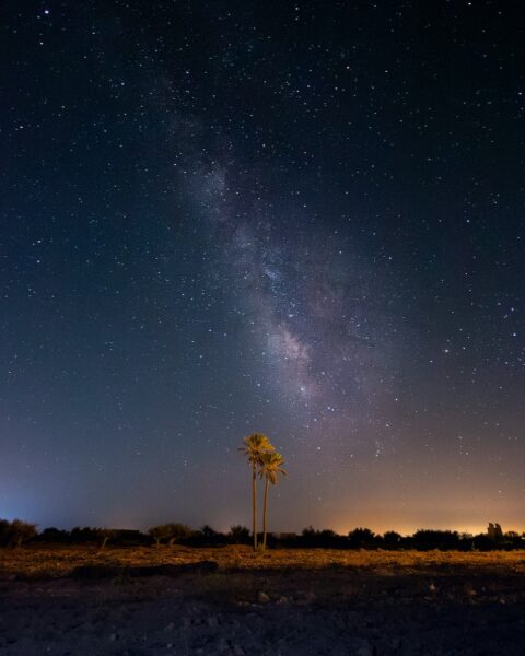 djerba natuur tunesie