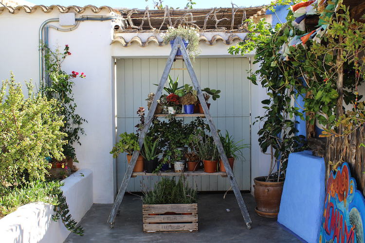 doen op formentera dorpjes bloemen