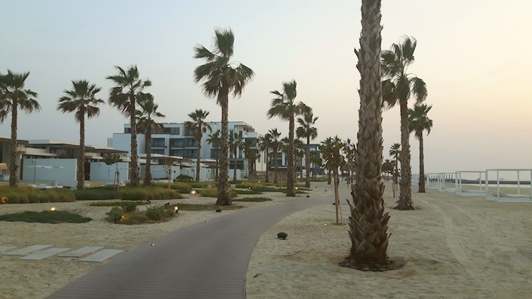 dubai luxe palmbomen strand