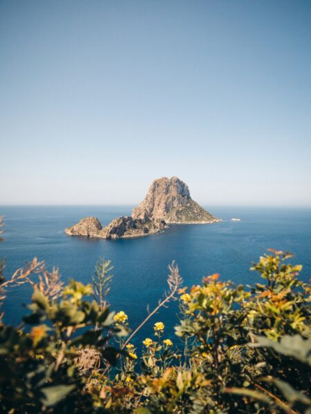 Rocky island formation in the blue ocean, viewed from a foreground of green shrubs and yellow flowers under a clear sky.