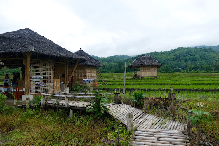 flores backpacken tips om reis te plannen