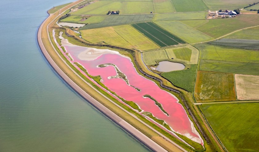 flying focus roze meer texel