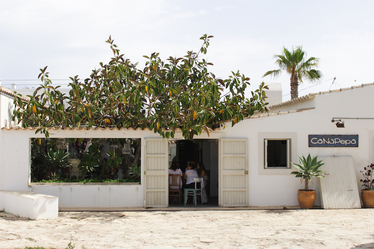 formentera huisje sinasappelboom