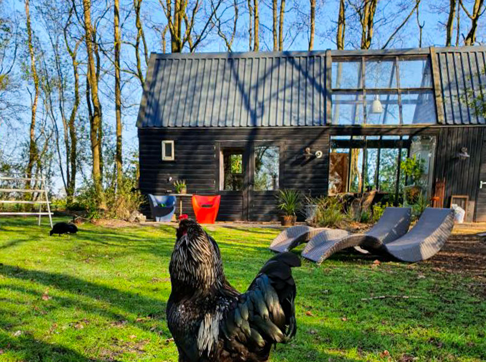 friesland bed breakfast