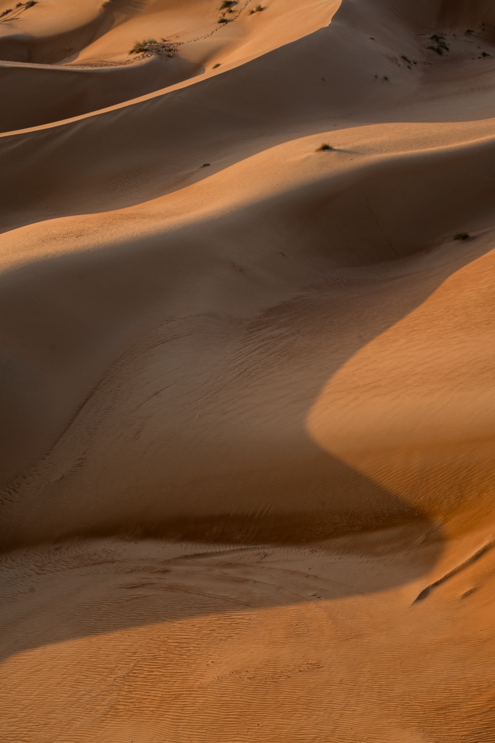 golvende duinen Wahiba Sand woestijn