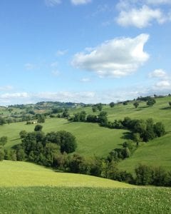 groen landschap italie