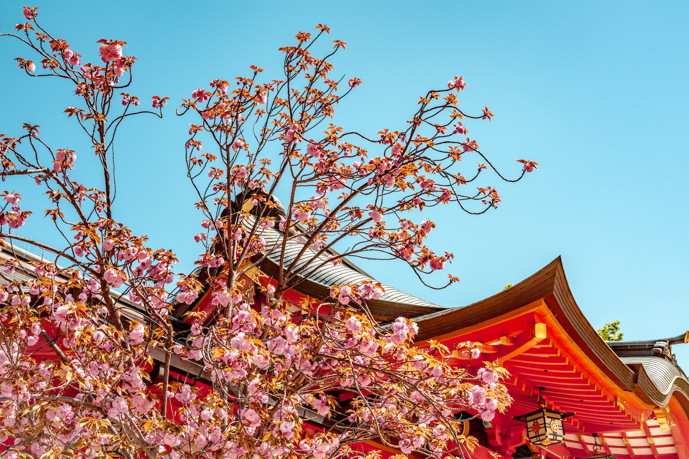 grootste steden japan kobe