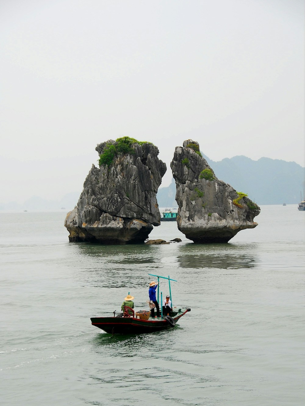 halong bay fighting chickens