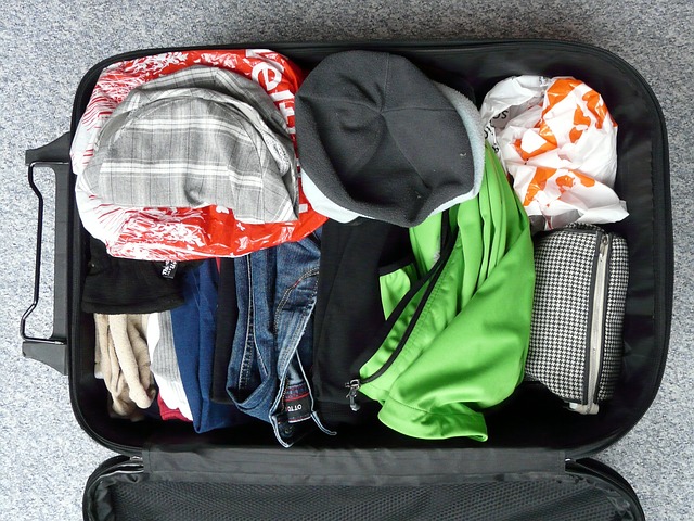 Handbagage regels