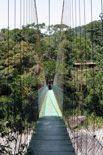 hangbrug Pico Bonito