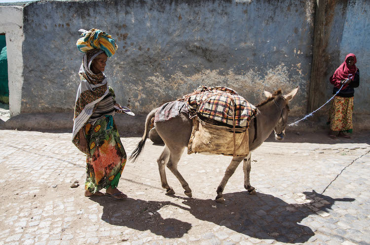 harar reizen ethiopie reis