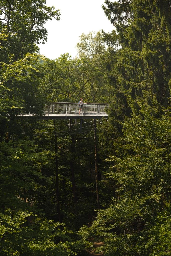 harzgebergte bossen