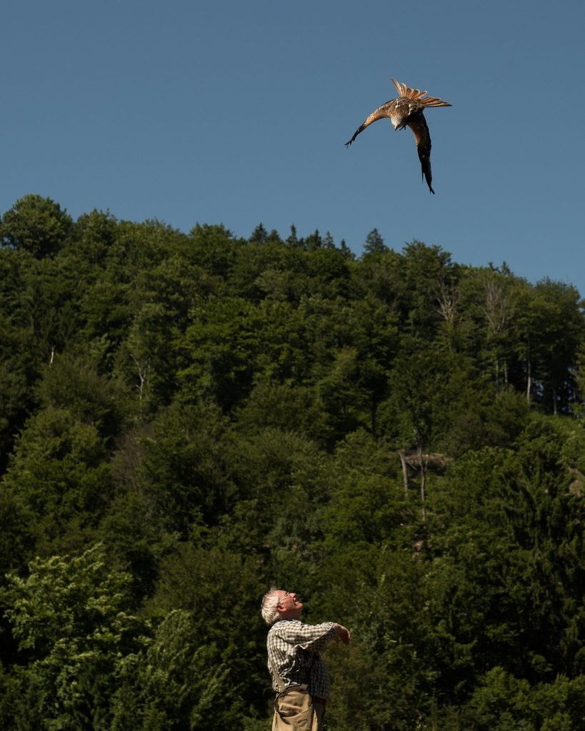 harzgebergte vogels spotten-17