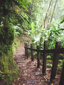 hike pad Catarata del Toro costa rica-3