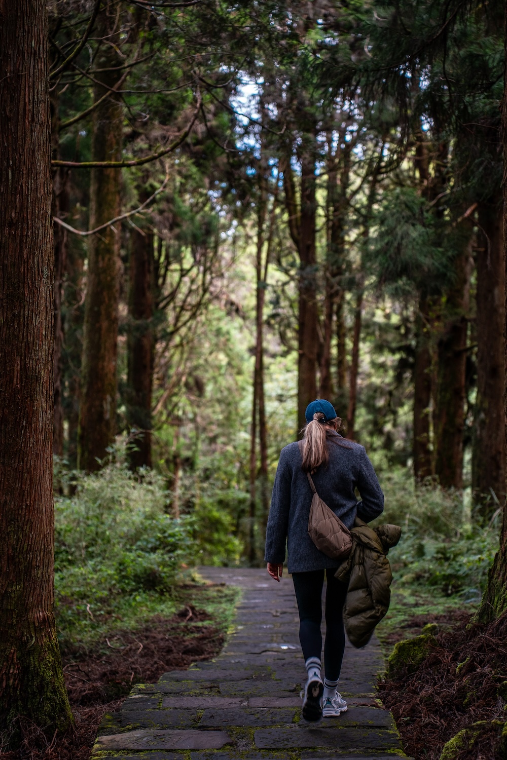 hiken in Alishan
