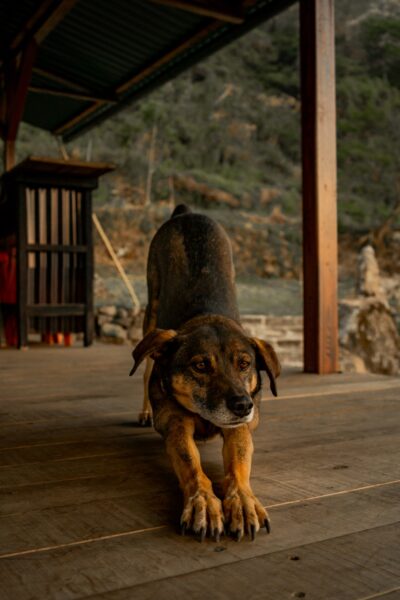 hondje hotel lake atitlan