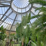 hortus amsterdam