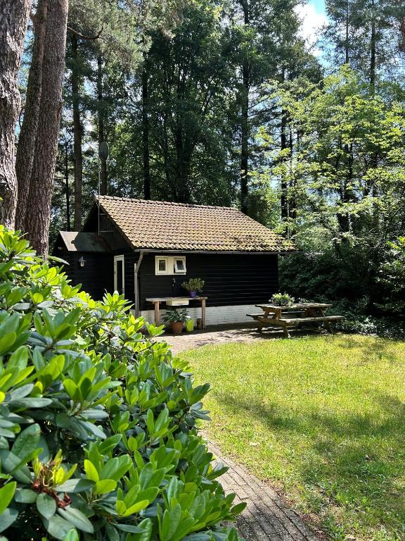 hotel met hond veluwe huisje