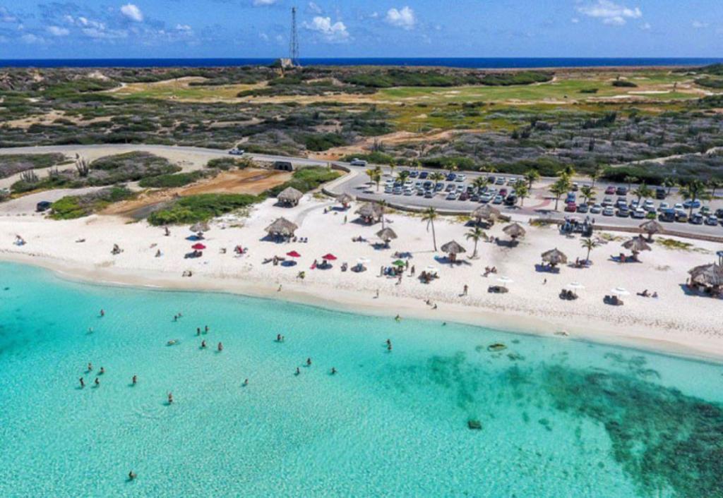 hotels aruba tips caribbean palm