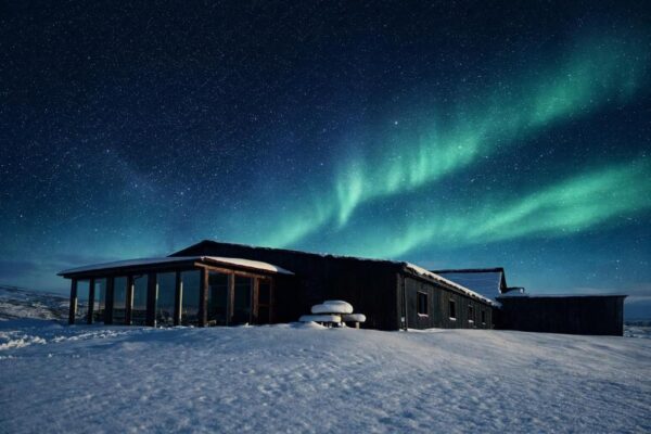 hotels ijsland The Fox Hostel