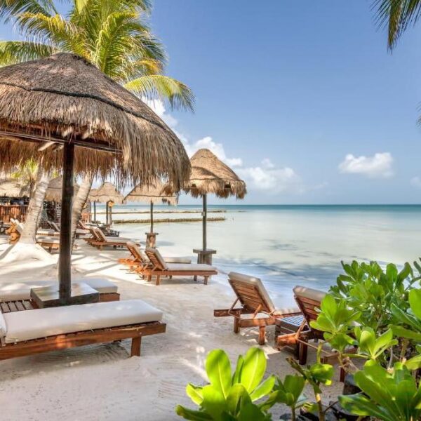 hotels mexico la palapa