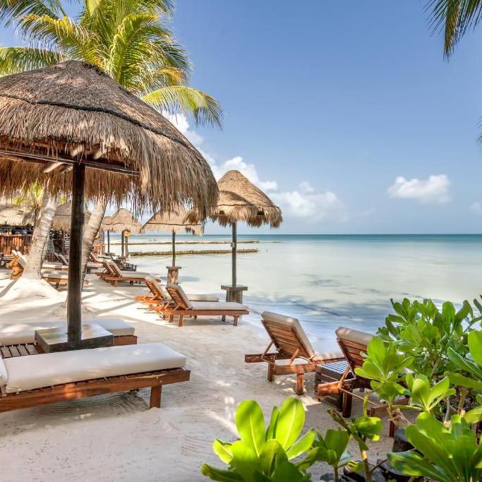 hotels mexico la palapa