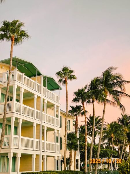 huisje en palmbomen Florida