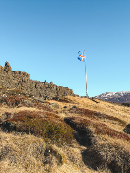 ijsland met kleine kinderen ijslandse vlag