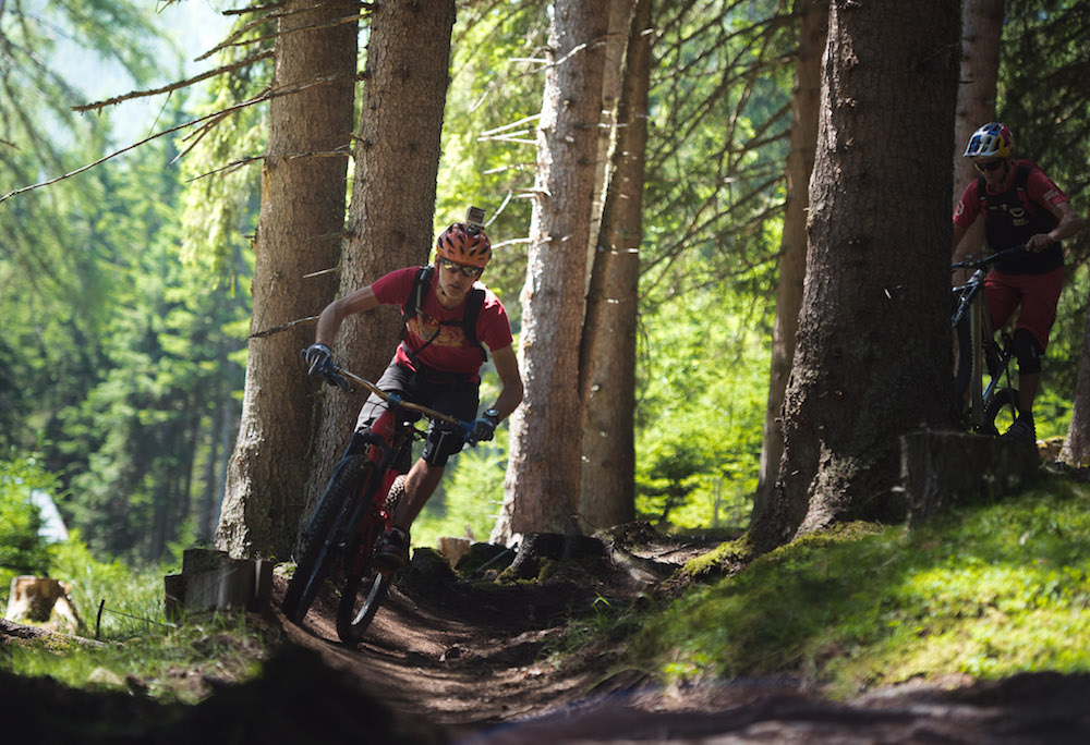 innsbruck_mountainbiken bossen