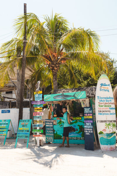 isla holbox strand tours