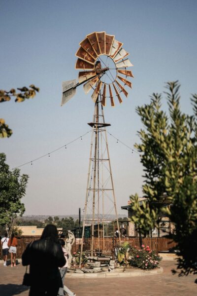 johannesburg tips