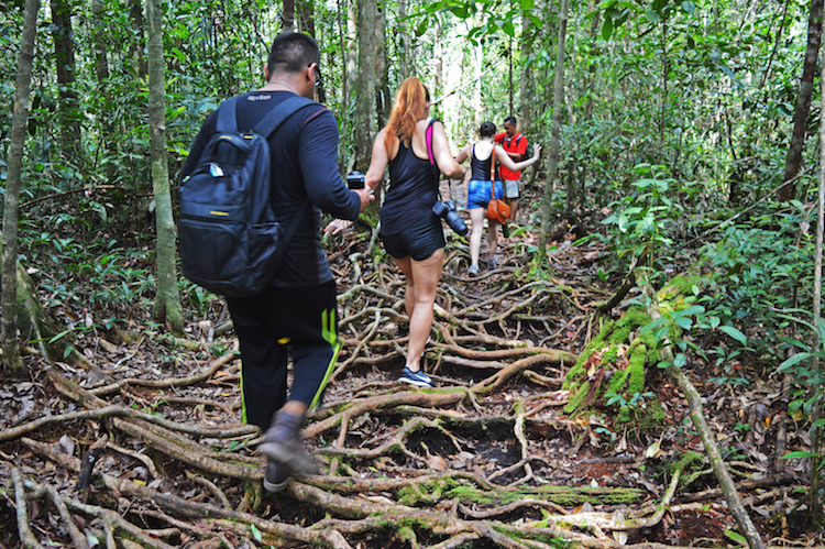 jungle borneo kleding