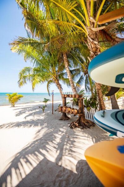 kalimera beach hotel belize rondreis