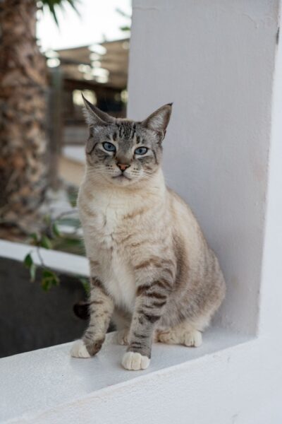 kat in La Ventana