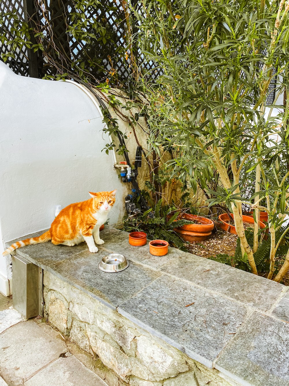 katje in Athene