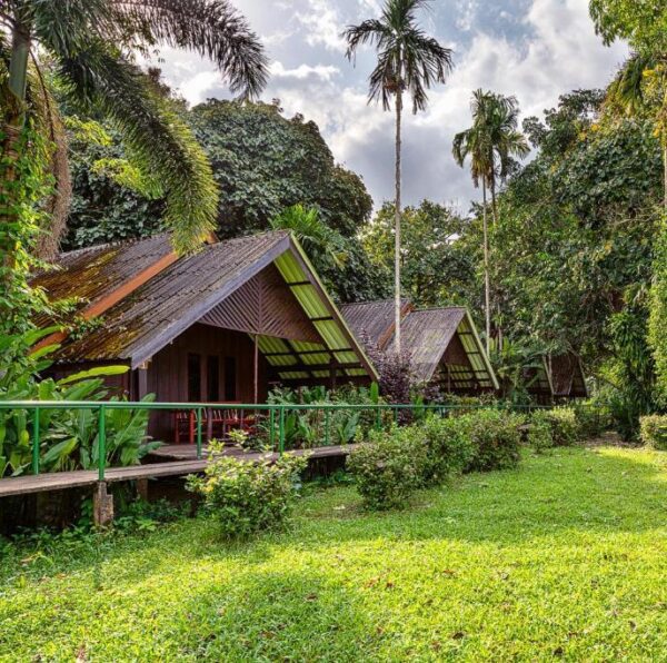 khao sok cottages
