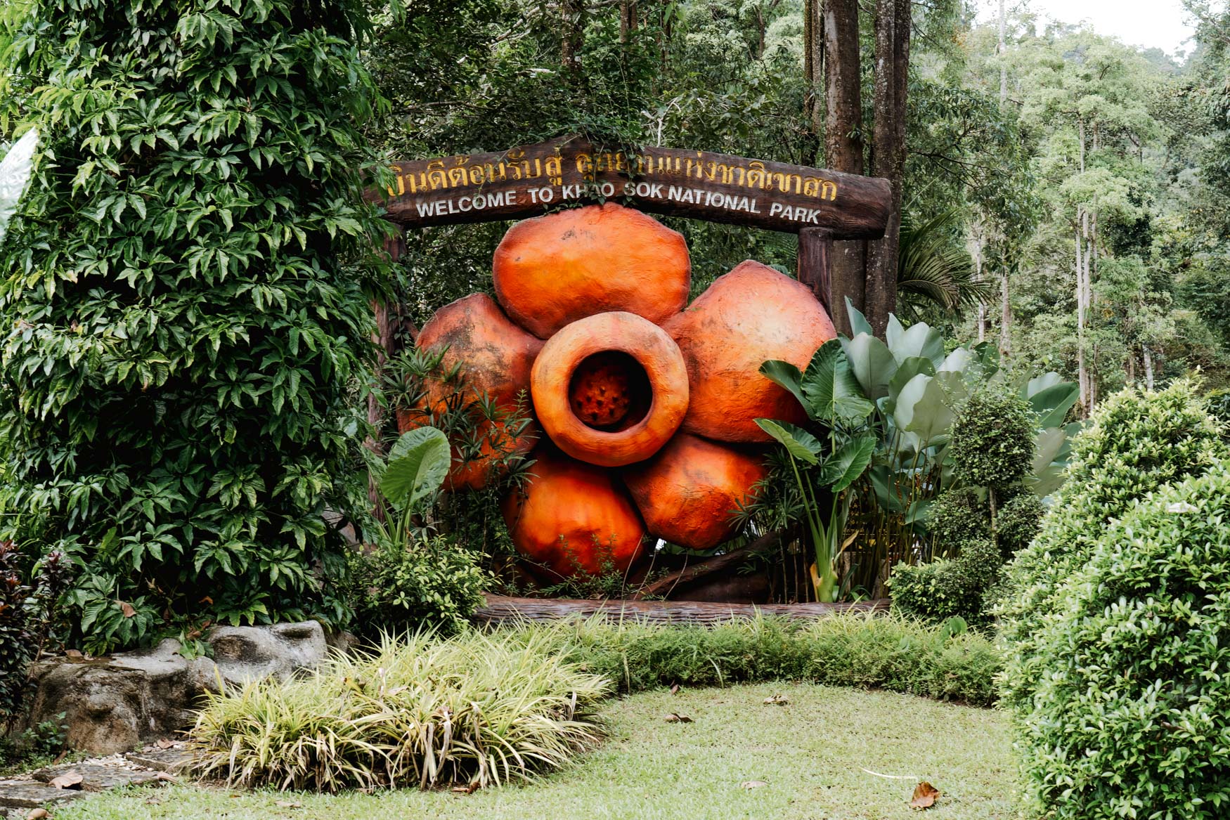 khao sok national park rafflesia