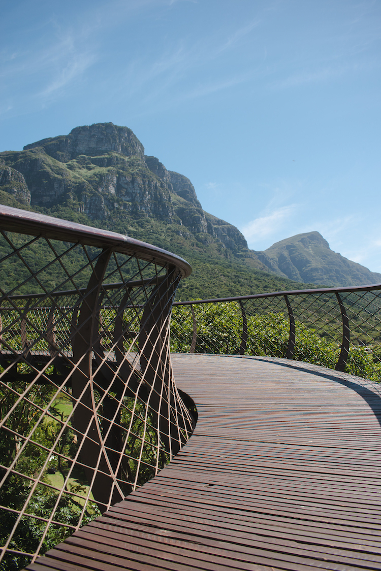 kirstenbosch loopbrug canopy walk