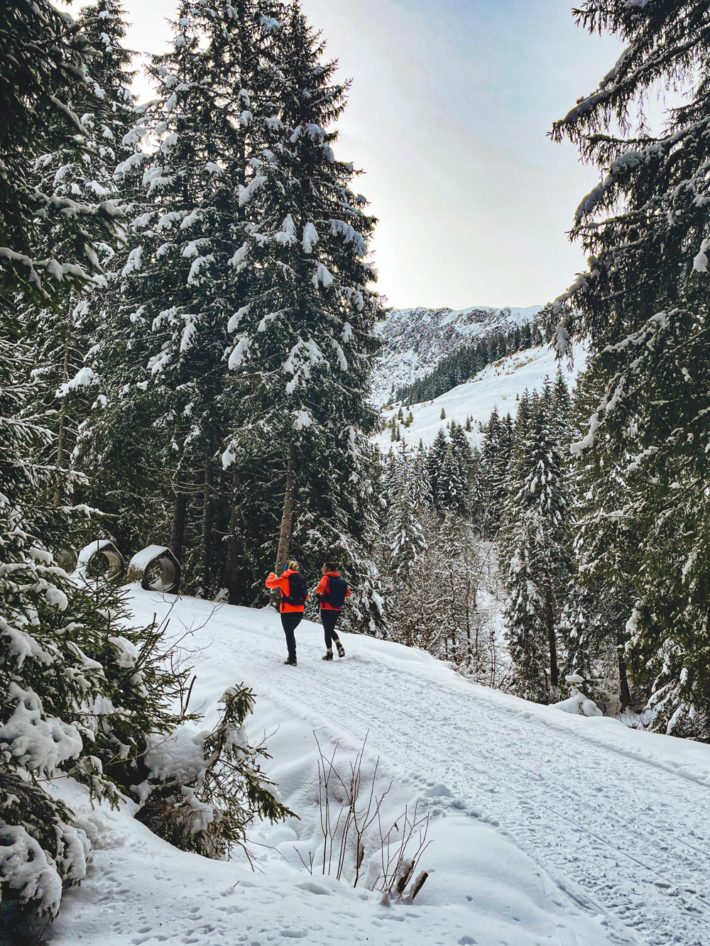 kitzbuhel winter hike