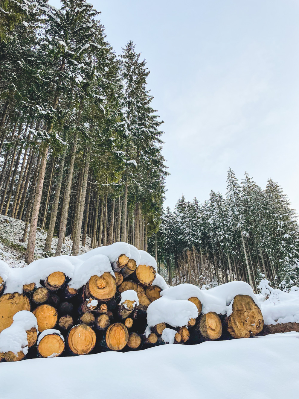 kitzbuhel winter hiking