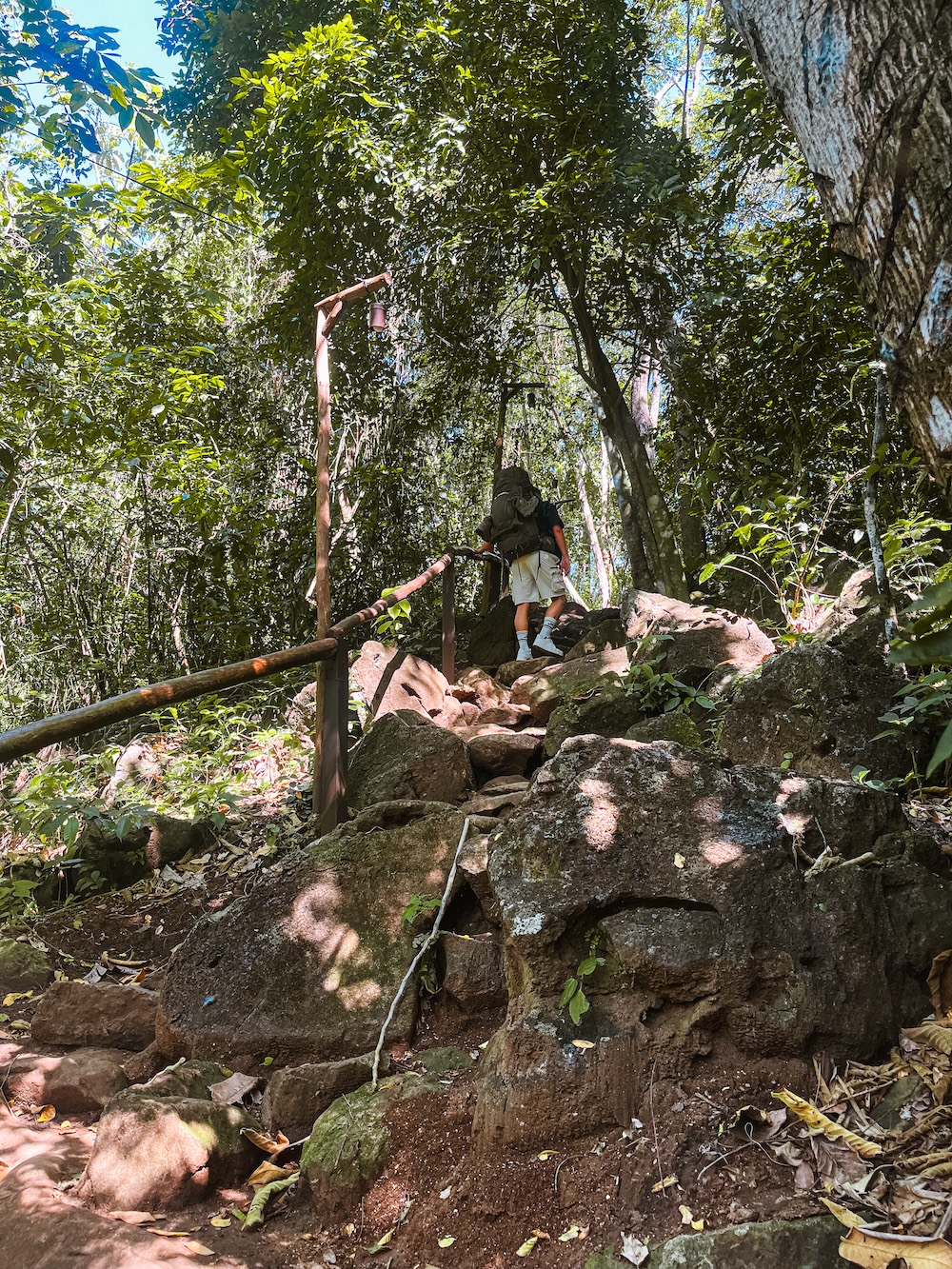 klim jungle, Treehouse Nicaragua