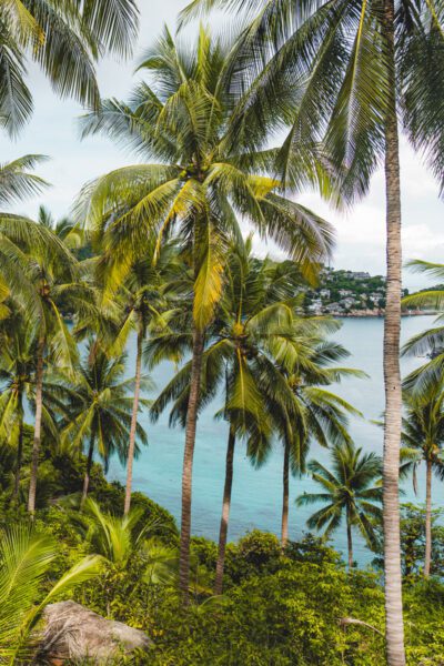 koh tao thailand