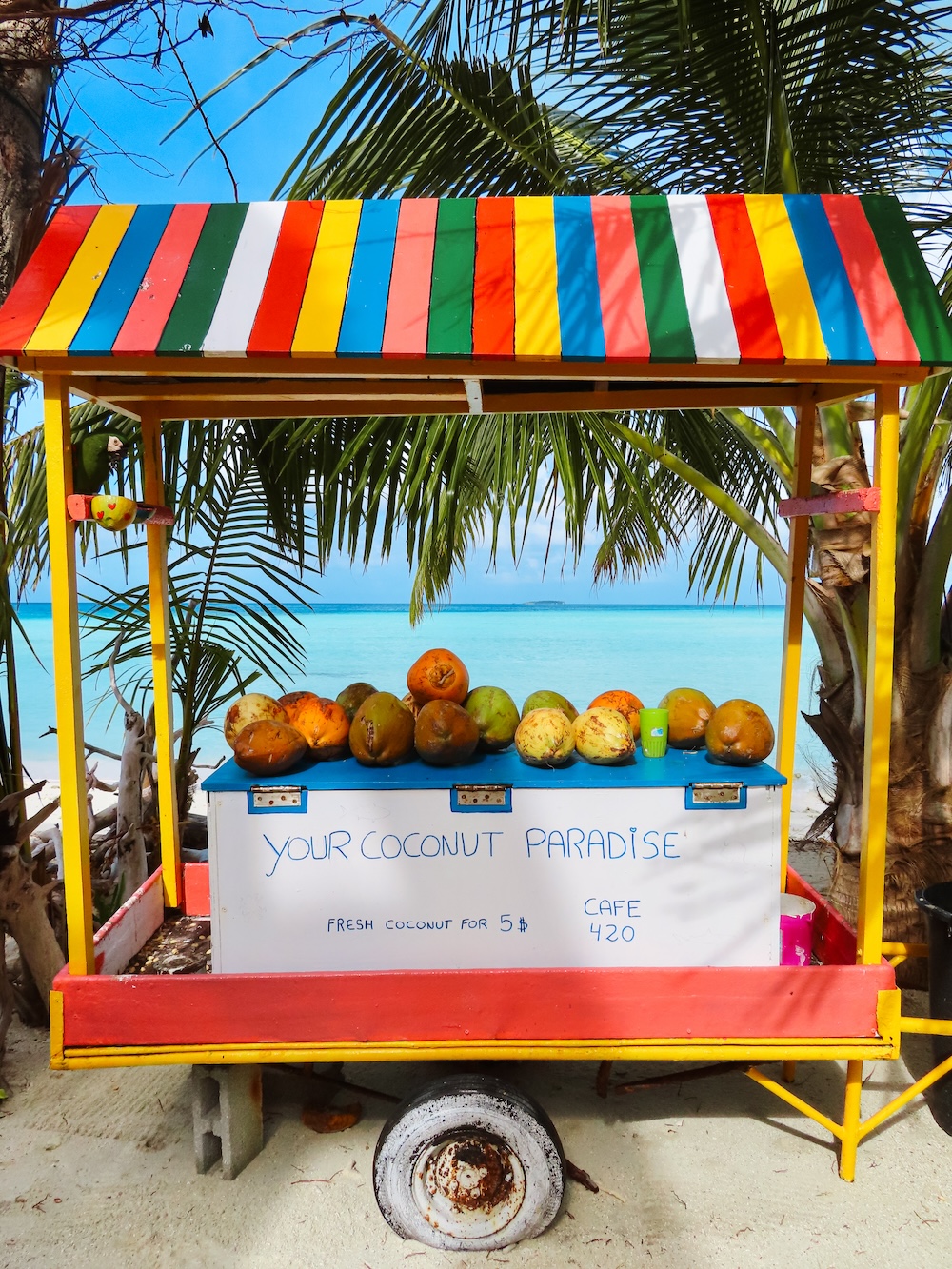 kokoskraampje Dhiffushi
