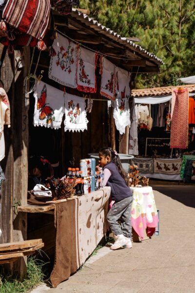 kraampje bij Monarch Butterfly Migration