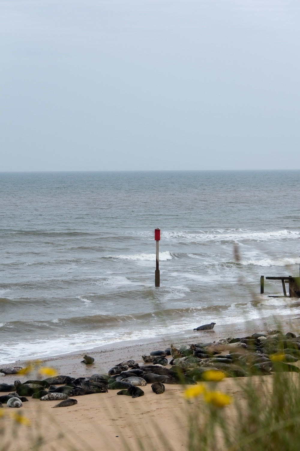kust Norfolk, roadtrip Engeland