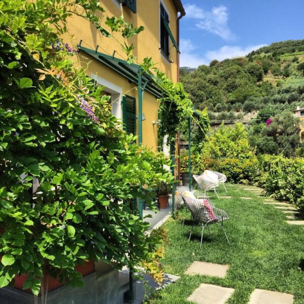 Yellow house with green shutters and climbing vines, a sunny garden with wicker chairs and potted plants along a stone path