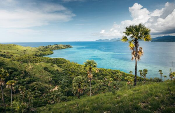labuan bajo flores indonesie