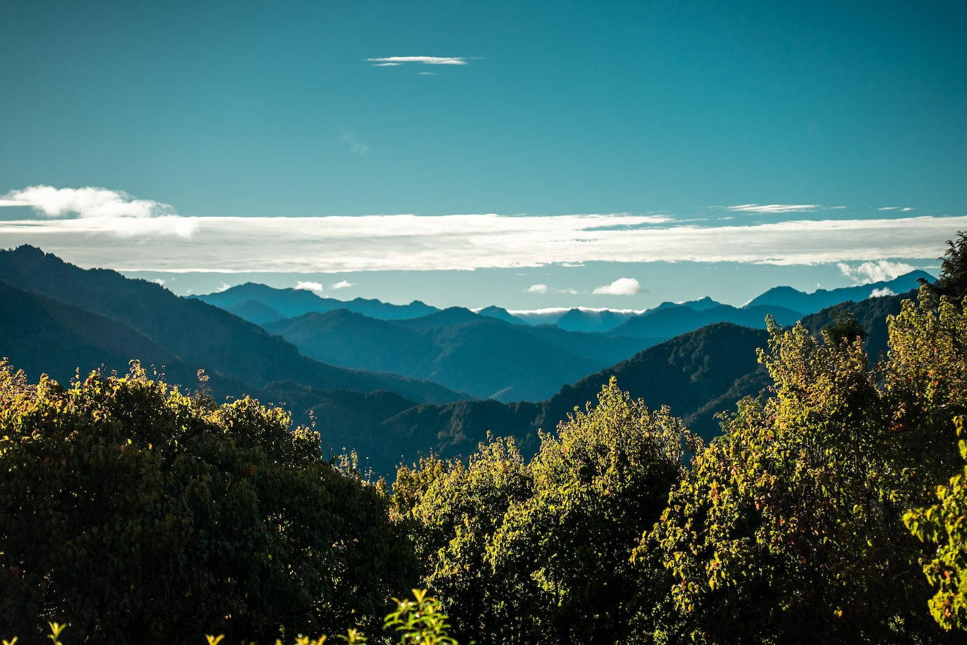 landschap Alishan
