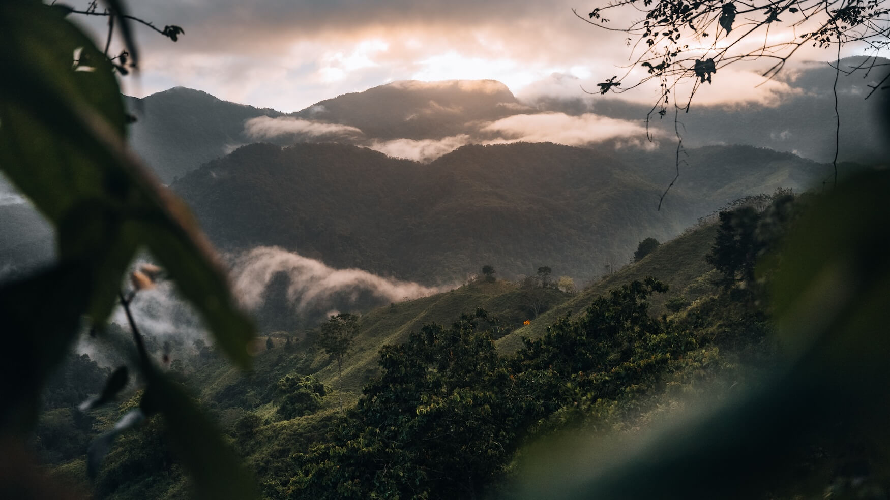 lost city trek route ciudad perdida