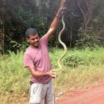 lange slang gevonden suriname